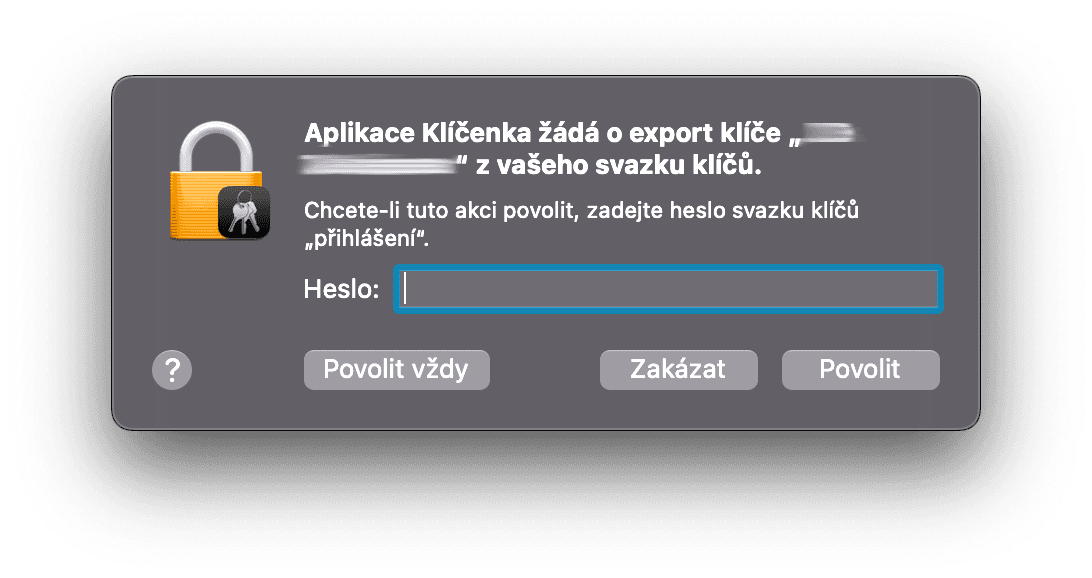Okno pro zadání hesla k vašemu počítači